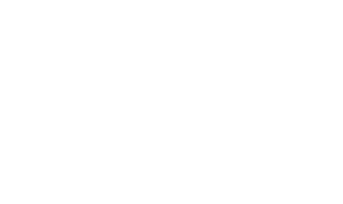 VF3