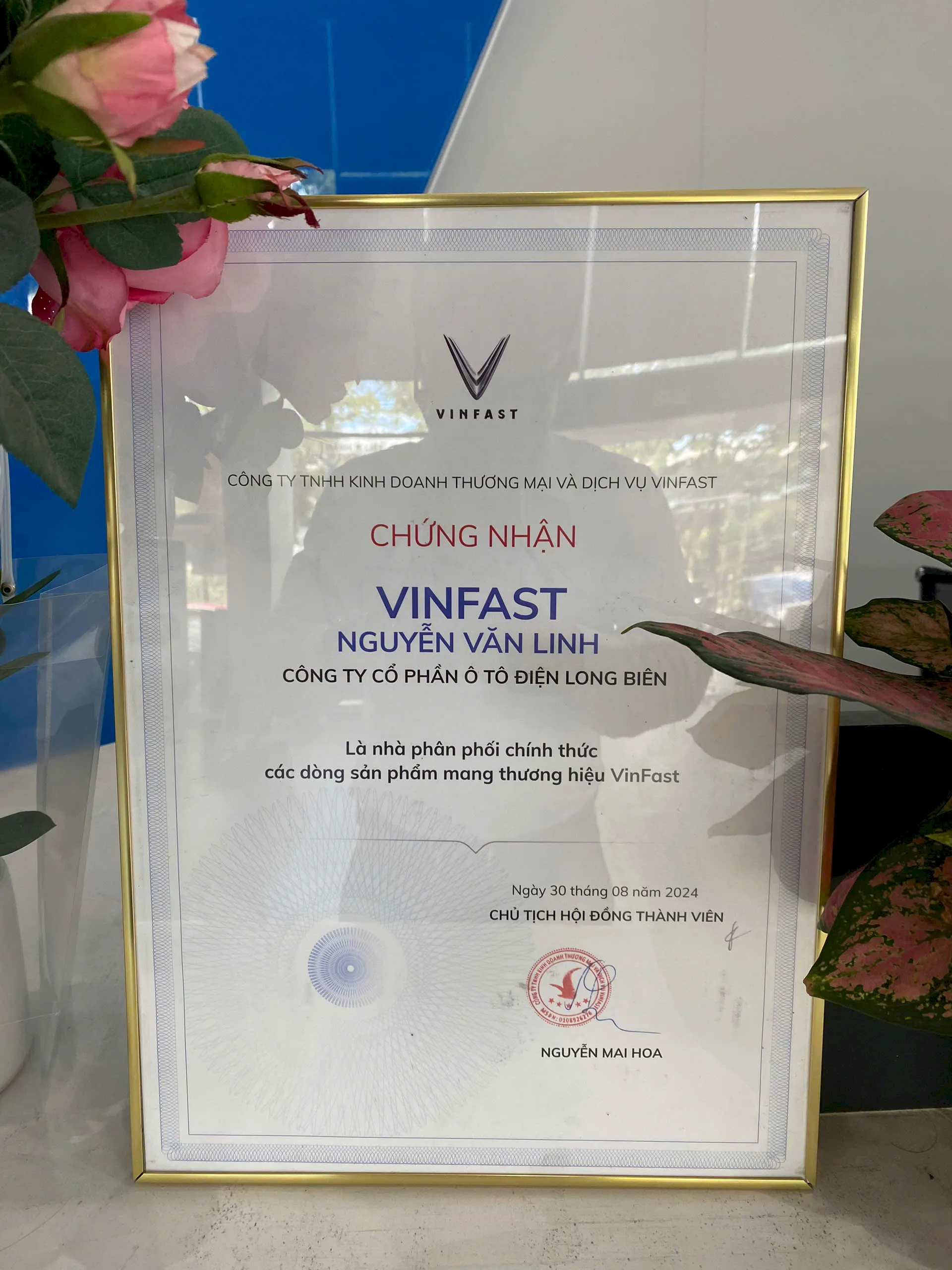 Chứng nhận nhà phân phối